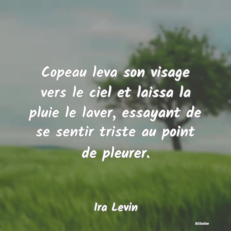 image de citation: Copeau leva son visage vers le ciel et laissa la pluie le laver, essayant de se sentir triste au point de pleurer.