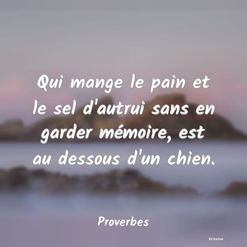 image de citation: Qui mange le pain et le sel d'autrui sans en garder mémoire, est au dessous d'un chien.