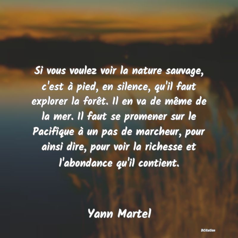 image de citation: Si vous voulez voir la nature sauvage, c'est à pied, en silence, qu'il faut explorer la forêt. Il en va de même de la mer. Il faut se promener sur le Pacifique à un pas de marcheur, pour ainsi dire, pour voir la richesse et l'abondance qu'il contient.