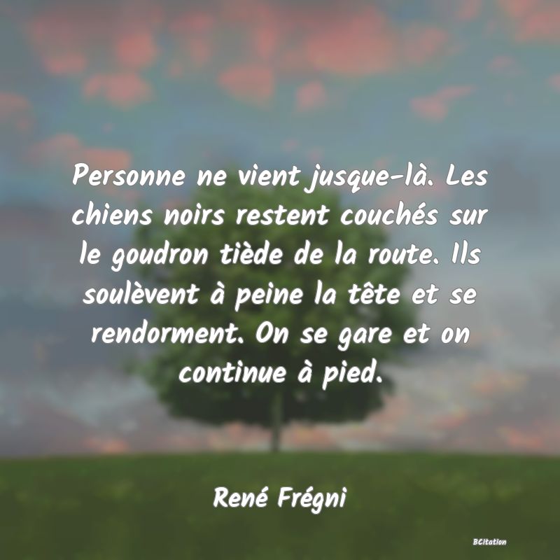 image de citation: Personne ne vient jusque-là. Les chiens noirs restent couchés sur le goudron tiède de la route. Ils soulèvent à peine la tête et se rendorment. On se gare et on continue à pied.