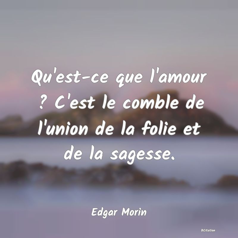 image de citation: Qu'est-ce que l'amour ? C'est le comble de l'union de la folie et de la sagesse.