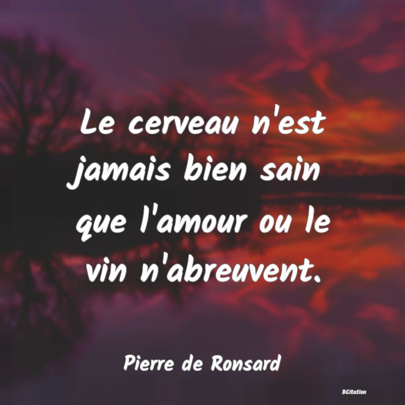 image de citation: Le cerveau n'est jamais bien sain que l'amour ou le vin n'abreuvent.