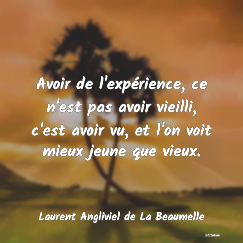 image de citation: Avoir de l'expérience, ce n'est pas avoir vieilli, c'est avoir vu, et l'on voit mieux jeune que vieux.