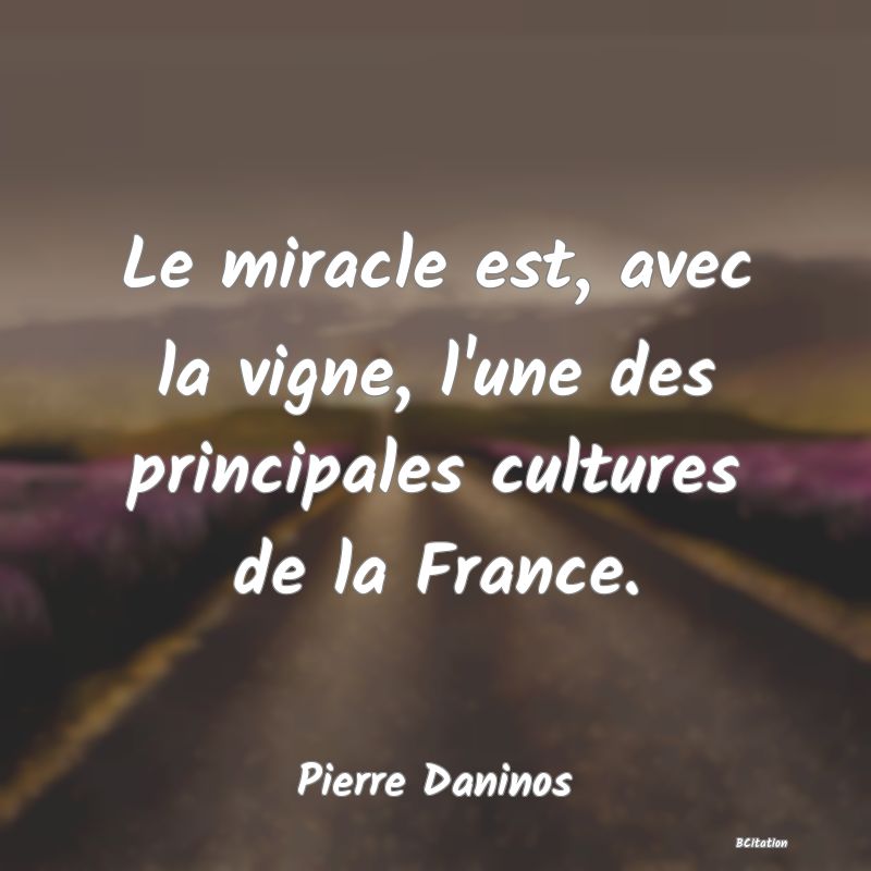 image de citation: Le miracle est, avec la vigne, l'une des principales cultures de la France.