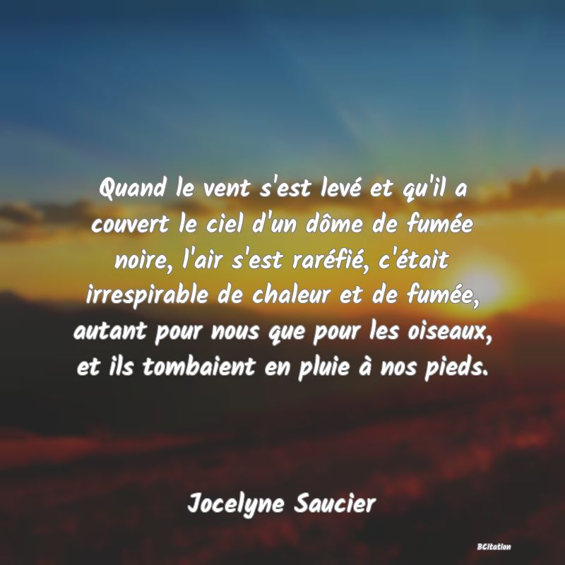 image de citation: Quand le vent s'est levé et qu'il a couvert le ciel d'un dôme de fumée noire, l'air s'est raréfié, c'était irrespirable de chaleur et de fumée, autant pour nous que pour les oiseaux, et ils tombaient en pluie à nos pieds.