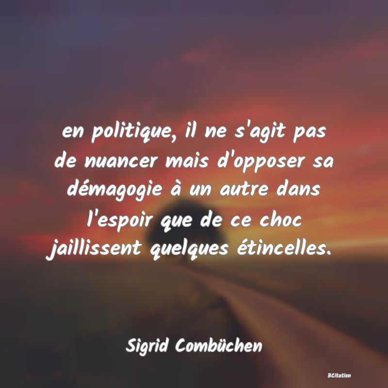 image de citation: en politique, il ne s'agit pas de nuancer mais d'opposer sa démagogie à un autre dans l'espoir que de ce choc jaillissent quelques étincelles.