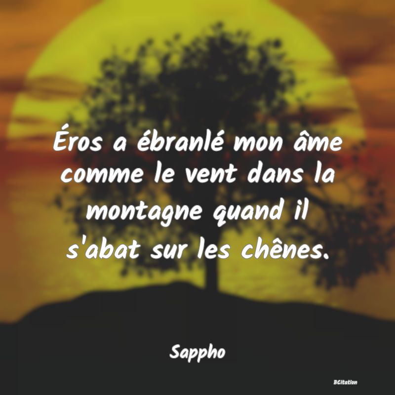 image de citation: Éros a ébranlé mon âme comme le vent dans la montagne quand il s'abat sur les chênes.