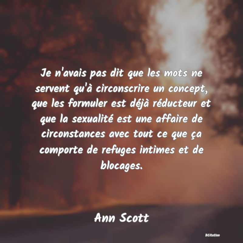 image de citation: Je n'avais pas dit que les mots ne servent qu'à circonscrire un concept, que les formuler est déjà réducteur et que la sexualité est une affaire de circonstances avec tout ce que ça comporte de refuges intimes et de blocages.