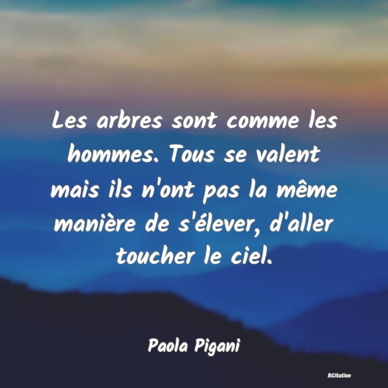 image de citation: Les arbres sont comme les hommes. Tous se valent mais ils n'ont pas la même manière de s'élever, d'aller toucher le ciel.