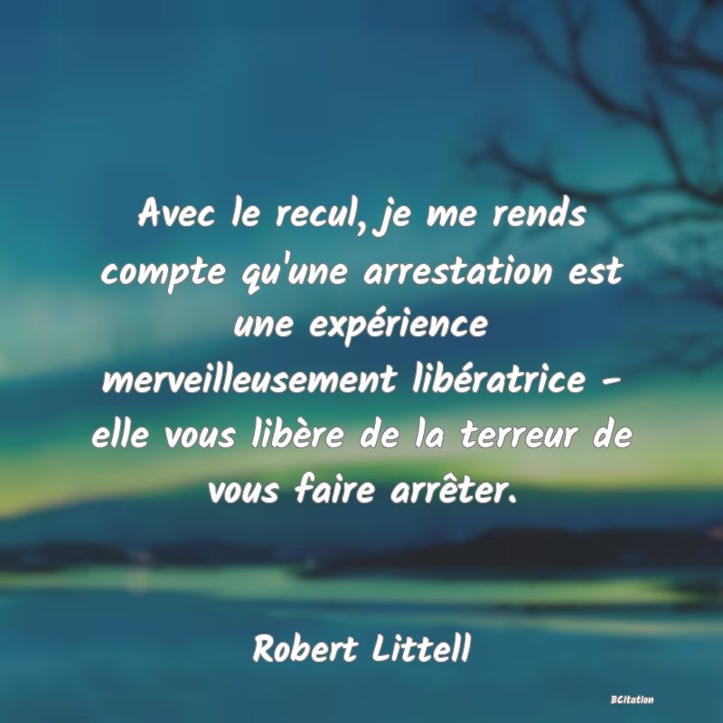 image de citation: Avec le recul, je me rends compte qu'une arrestation est une expérience merveilleusement libératrice - elle vous libère de la terreur de vous faire arrêter.