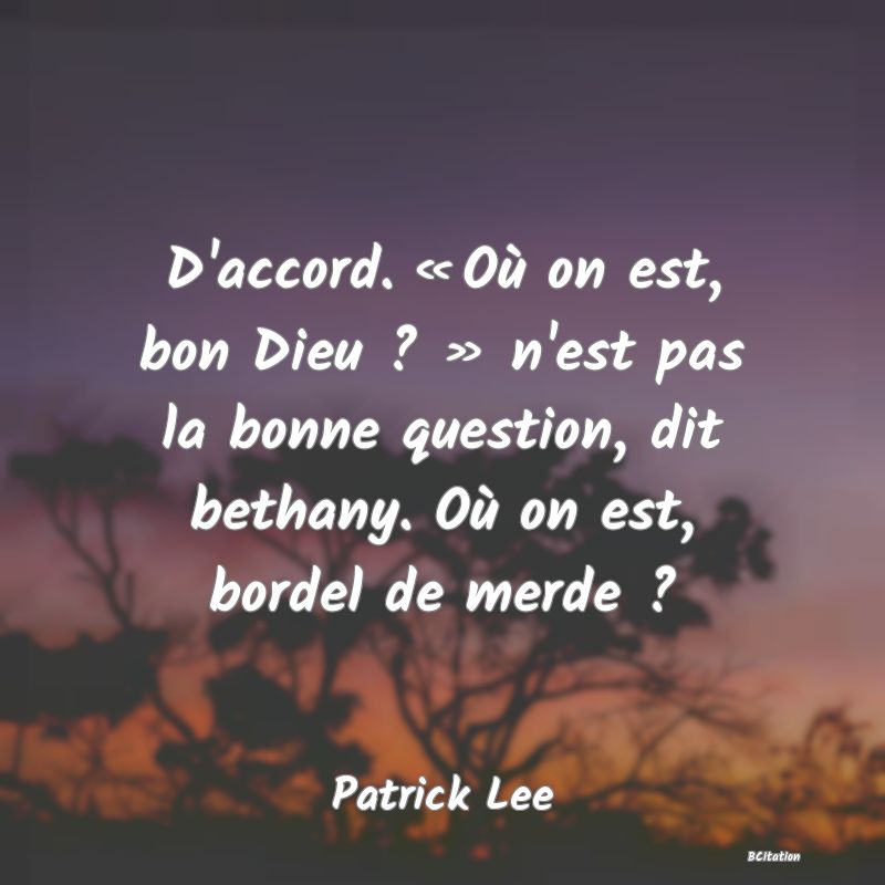 image de citation: D'accord. « Où on est, bon Dieu ? » n'est pas la bonne question, dit bethany. Où on est, bordel de merde ?