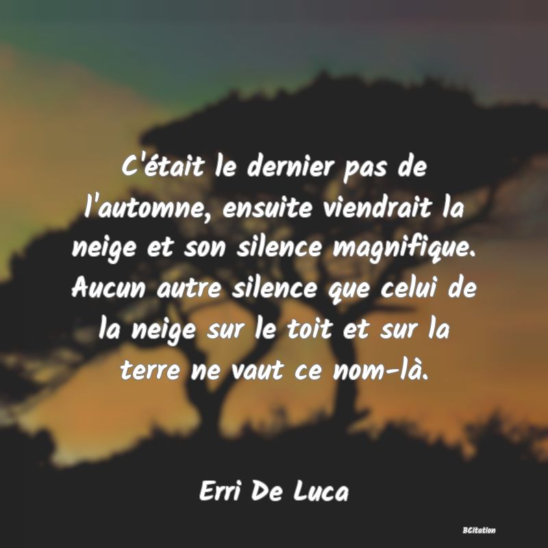 image de citation: C'était le dernier pas de l'automne, ensuite viendrait la neige et son silence magnifique. Aucun autre silence que celui de la neige sur le toit et sur la terre ne vaut ce nom-là.