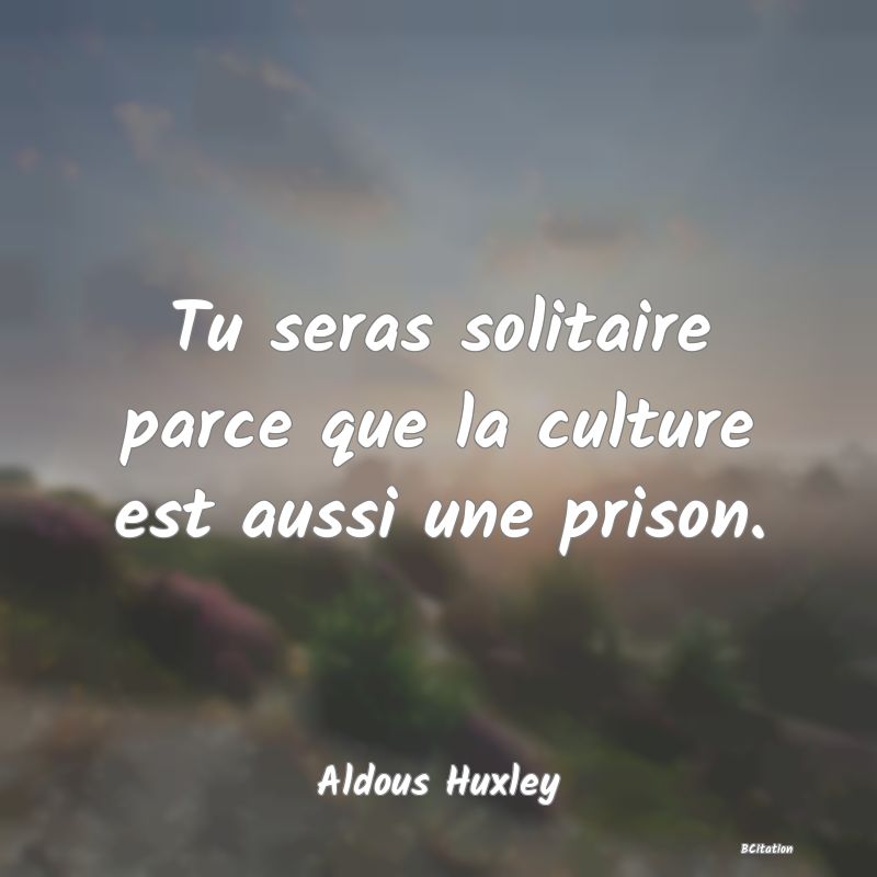 image de citation: Tu seras solitaire parce que la culture est aussi une prison.