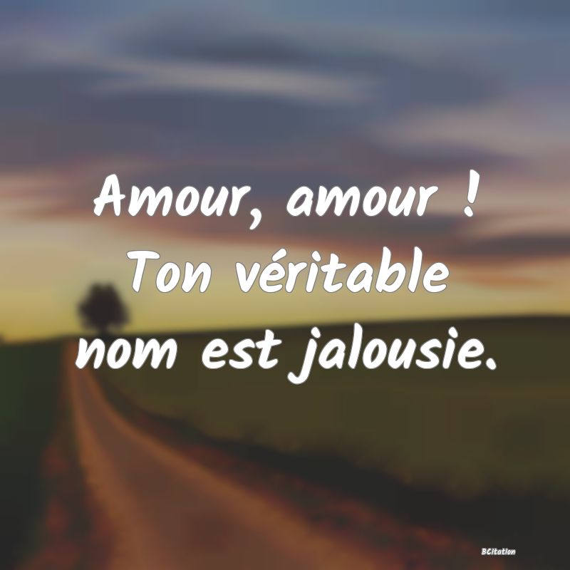 Belle Citation - Amour, amour ! Ton véritable nom est jalousie. - 