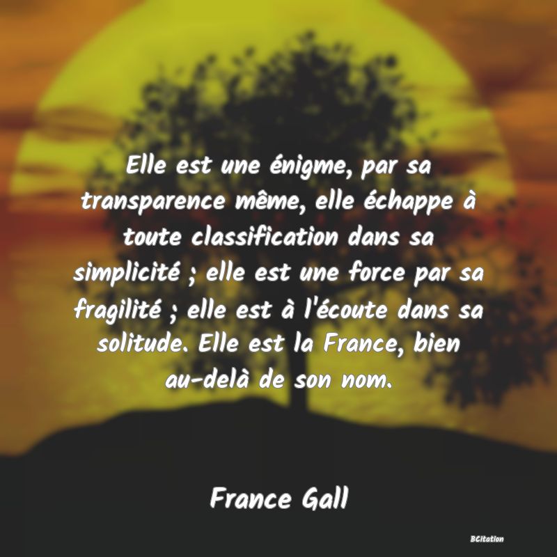 image de citation: Elle est une énigme, par sa transparence même, elle échappe à toute classification dans sa simplicité ; elle est une force par sa fragilité ; elle est à l'écoute dans sa solitude. Elle est la France, bien au-delà de son nom.