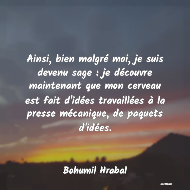 image de citation: Ainsi, bien malgré moi, je suis devenu sage : je découvre maintenant que mon cerveau est fait d'idées travaillées à la presse mécanique, de paquets d'idées.