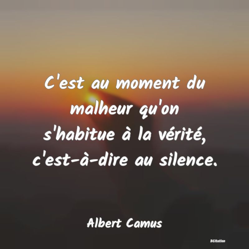 image de citation: C'est au moment du malheur qu'on s'habitue à la vérité, c'est-à-dire au silence.