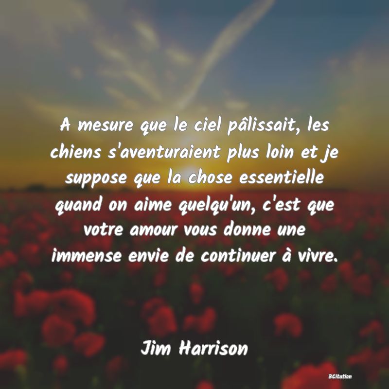 image de citation: A mesure que le ciel pâlissait, les chiens s'aventuraient plus loin et je suppose que la chose essentielle quand on aime quelqu'un, c'est que votre amour vous donne une immense envie de continuer à vivre.