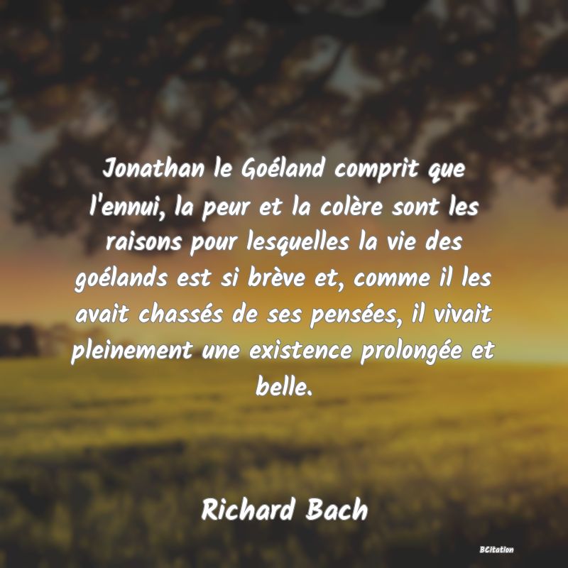 image de citation: Jonathan le Goéland comprit que l'ennui, la peur et la colère sont les raisons pour lesquelles la vie des goélands est si brève et, comme il les avait chassés de ses pensées, il vivait pleinement une existence prolongée et belle.