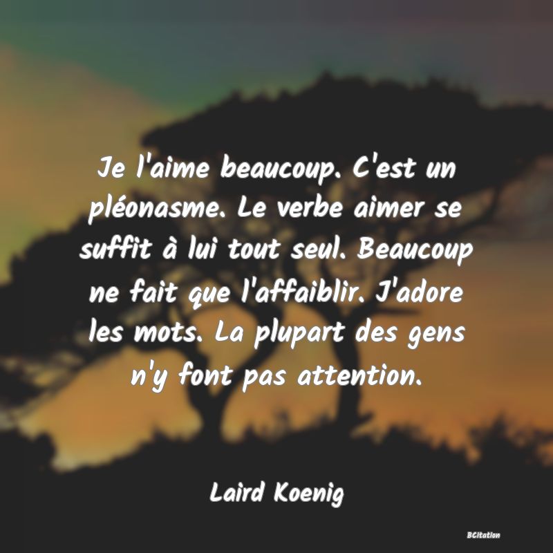 Belle Citation - Je l'aime beaucoup. C'est un pléonasme. Le verbe aimer se suffit à lui tout seul. Beaucoup ne fait que l'affaiblir. J'adore les mots. La plupart des gens n'y font pas attention. - Laird Koenig