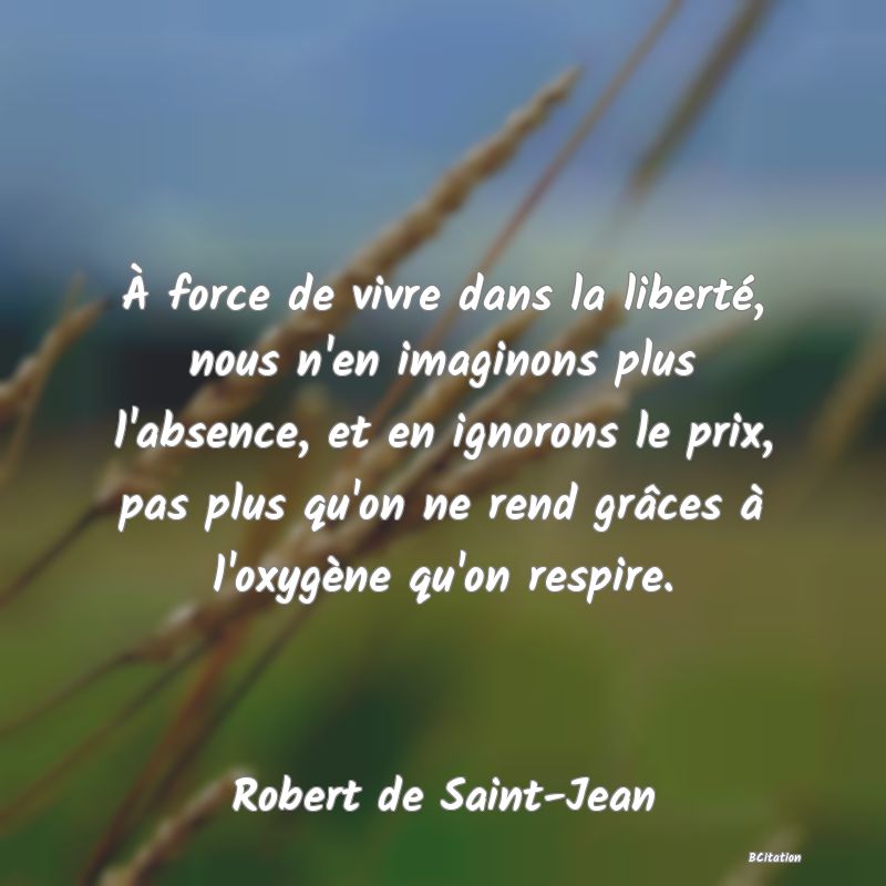 image de citation: À force de vivre dans la liberté, nous n'en imaginons plus l'absence, et en ignorons le prix, pas plus qu'on ne rend grâces à l'oxygène qu'on respire.