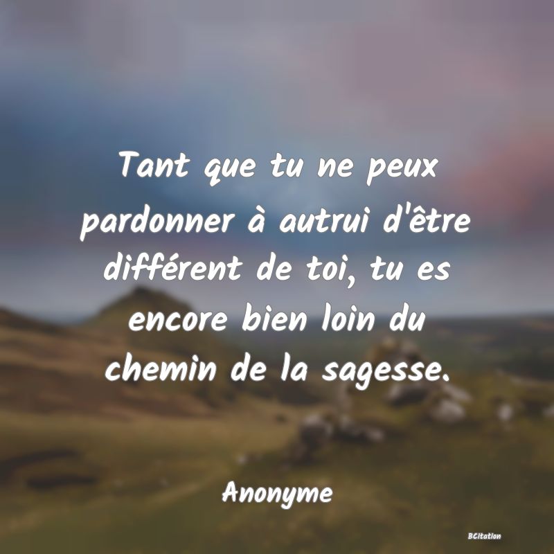 image de citation: Tant que tu ne peux pardonner à autrui d'être différent de toi, tu es encore bien loin du chemin de la sagesse.