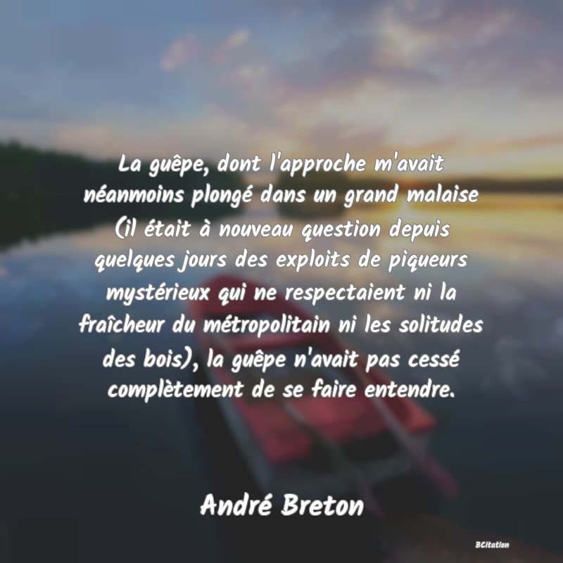 image de citation: La guêpe, dont l'approche m'avait néanmoins plongé dans un grand malaise (il était à nouveau question depuis quelques jours des exploits de piqueurs mystérieux qui ne respectaient ni la fraîcheur du métropolitain ni les solitudes des bois), la guêpe n'avait pas cessé complètement de se faire entendre.