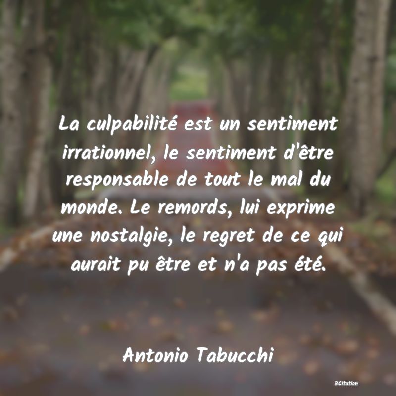 image de citation: La culpabilité est un sentiment irrationnel, le sentiment d'être responsable de tout le mal du monde. Le remords, lui exprime une nostalgie, le regret de ce qui aurait pu être et n'a pas été.