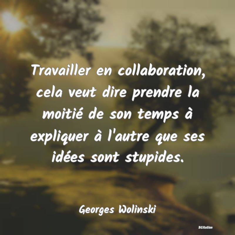 Belle Citation - Travailler en collaboration, cela veut dire prendre la moitié de son temps à expliquer à l'autre que ses idées sont stupides. - Georges Wolinski