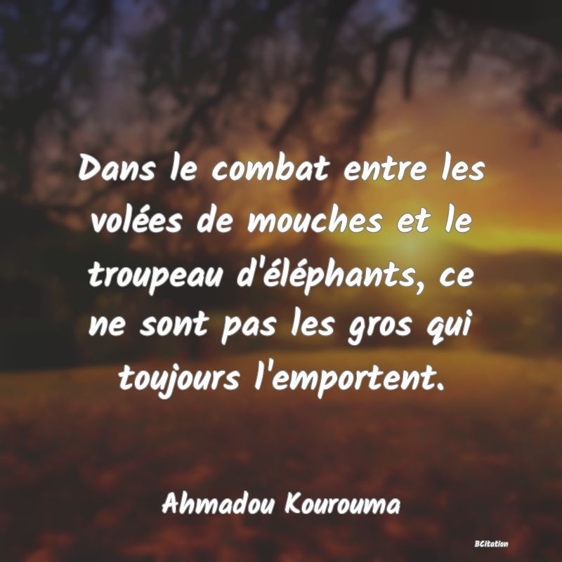 image de citation: Dans le combat entre les volées de mouches et le troupeau d'éléphants, ce ne sont pas les gros qui toujours l'emportent.