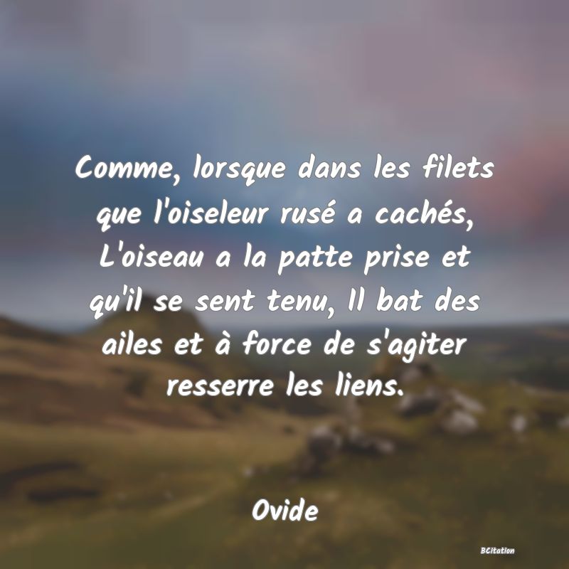 Belle Citation - Comme, lorsque dans les filets que l'oiseleur rusé a cachés, L'oiseau a la patte prise et qu'il se sent tenu, Il bat des ailes et à force de s'agiter resserre les liens. - Ovide