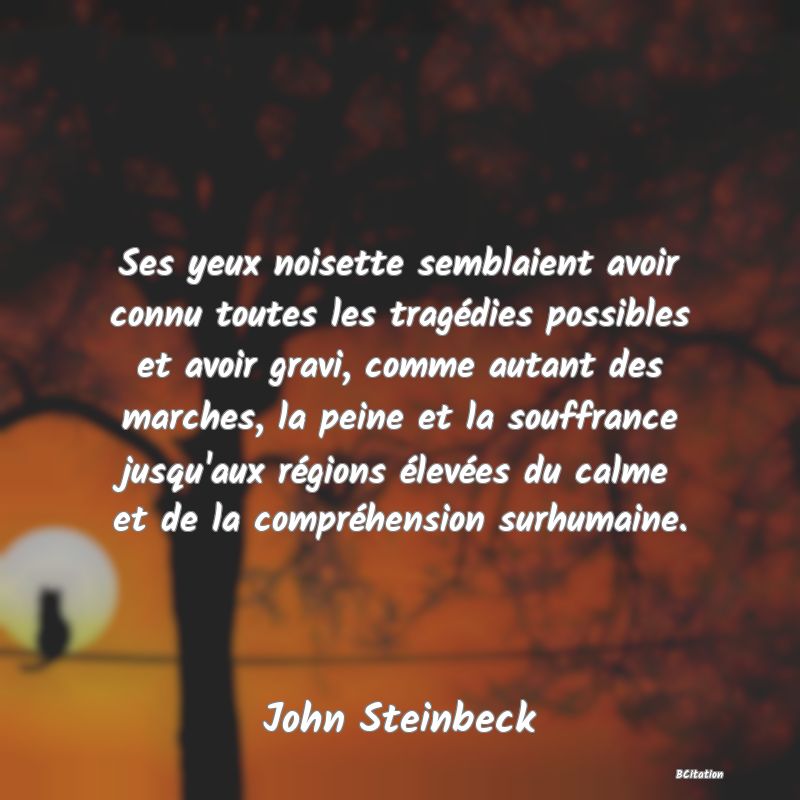 image de citation: Ses yeux noisette semblaient avoir connu toutes les tragédies possibles et avoir gravi, comme autant des marches, la peine et la souffrance jusqu'aux régions élevées du calme et de la compréhension surhumaine.