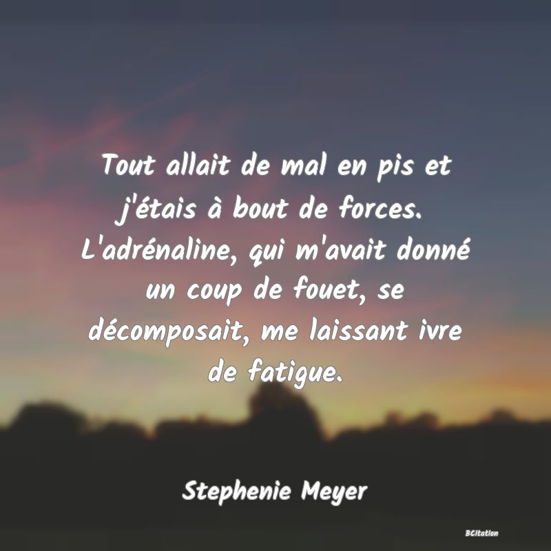 image de citation: Tout allait de mal en pis et j'étais à bout de forces. L'adrénaline, qui m'avait donné un coup de fouet, se décomposait, me laissant ivre de fatigue.