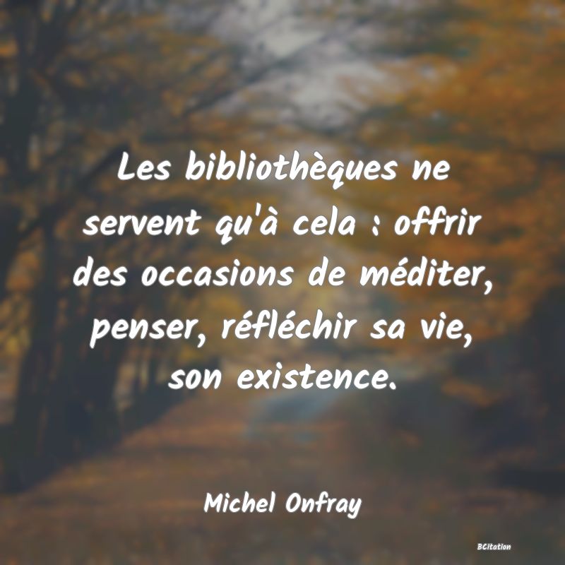 image de citation: Les bibliothèques ne servent qu'à cela : offrir des occasions de méditer, penser, réfléchir sa vie, son existence.