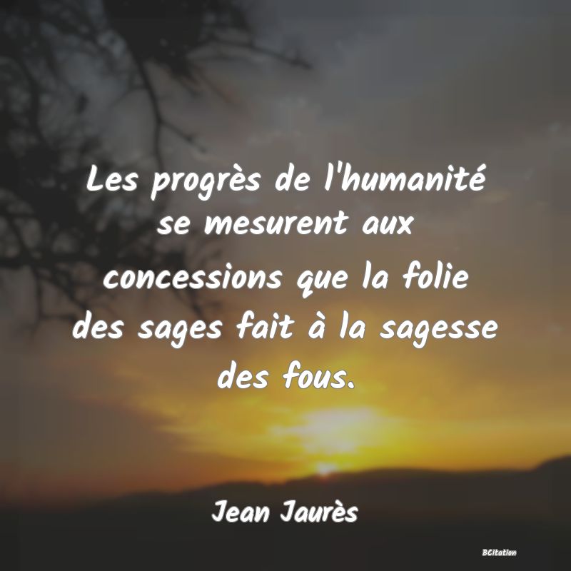 image de citation: Les progrès de l'humanité se mesurent aux concessions que la folie des sages fait à la sagesse des fous.