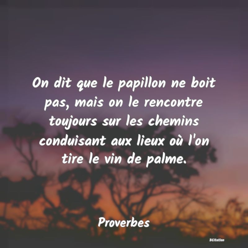 Belle Citation - On dit que le papillon ne boit pas, mais on le rencontre toujours sur les chemins conduisant aux lieux où l'on tire le vin de palme. - Proverbes