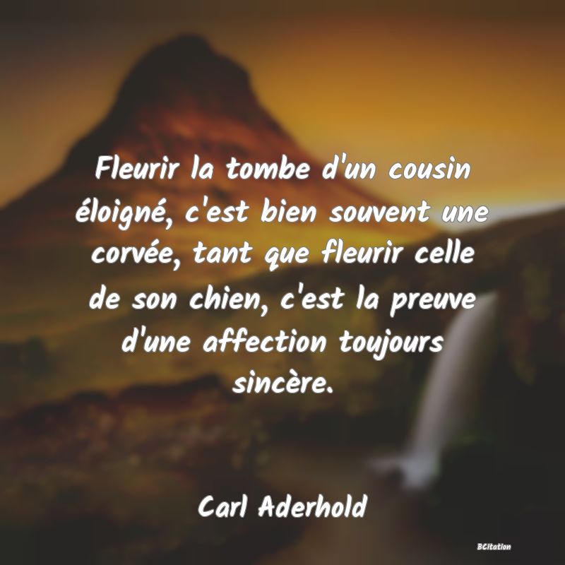 image de citation: Fleurir la tombe d'un cousin éloigné, c'est bien souvent une corvée, tant que fleurir celle de son chien, c'est la preuve d'une affection toujours sincère.