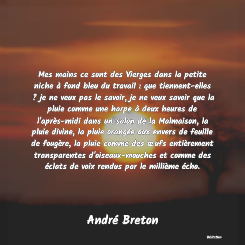 image de citation: Mes mains ce sont des Vierges dans la petite niche à fond bleu du travail : que tiennent-elles ? je ne veux pas le savoir, je ne veux savoir que la pluie comme une harpe à deux heures de l'après-midi dans un salon de la Malmaison, la pluie divine, la pluie orangée aux envers de feuille de fougère, la pluie comme des œufs entièrement transparentes d'oiseaux-mouches et comme des éclats de voix rendus par le millième écho.