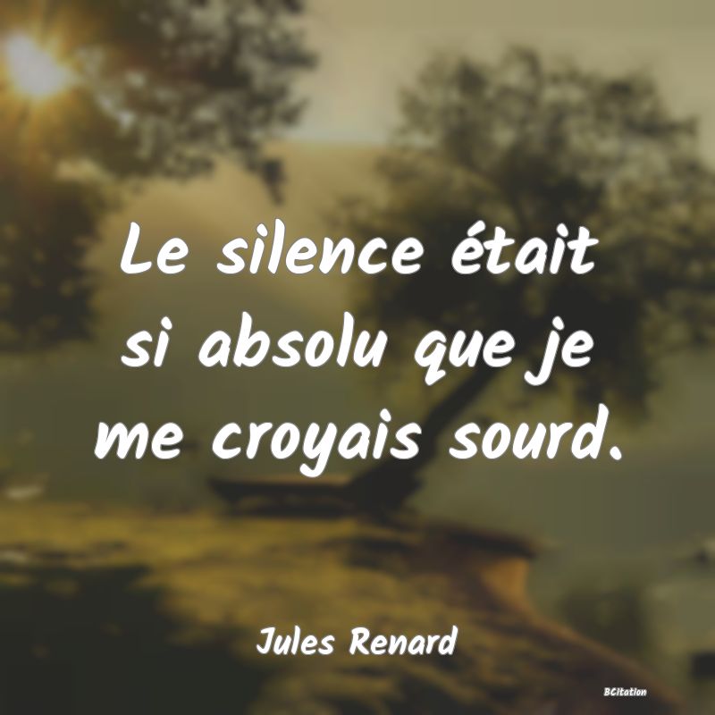 image de citation: Le silence était si absolu que je me croyais sourd.