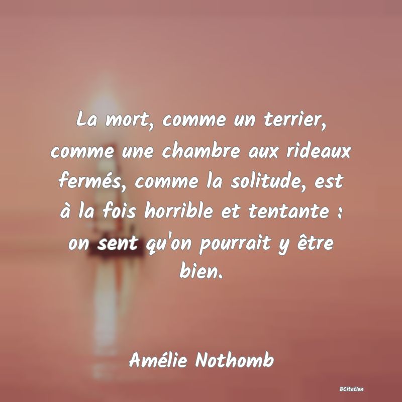 image de citation: La mort, comme un terrier, comme une chambre aux rideaux fermés, comme la solitude, est à la fois horrible et tentante : on sent qu'on pourrait y être bien.