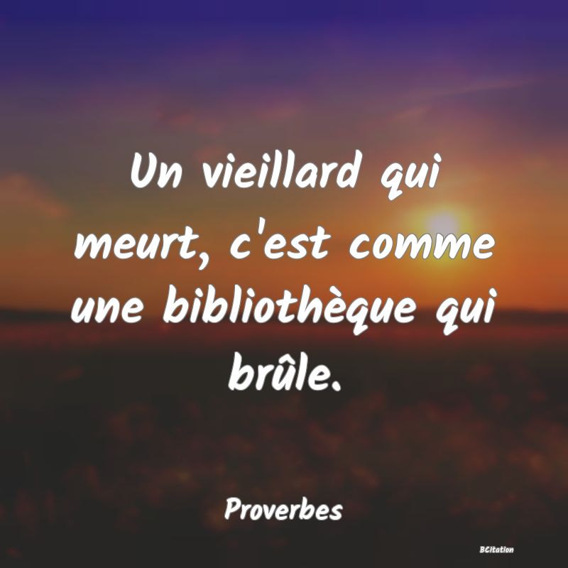 image de citation: Un vieillard qui meurt, c'est comme une bibliothèque qui brûle.