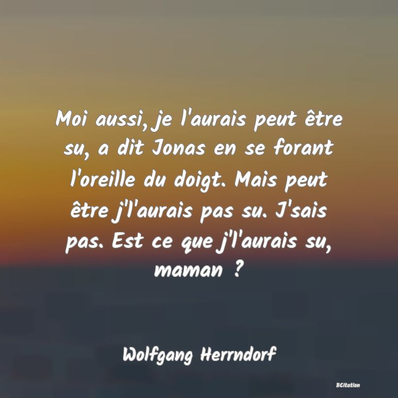 image de citation: Moi aussi, je l'aurais peut être su, a dit Jonas en se forant l'oreille du doigt. Mais peut être j'l'aurais pas su. J'sais pas. Est ce que j'l'aurais su, maman ?