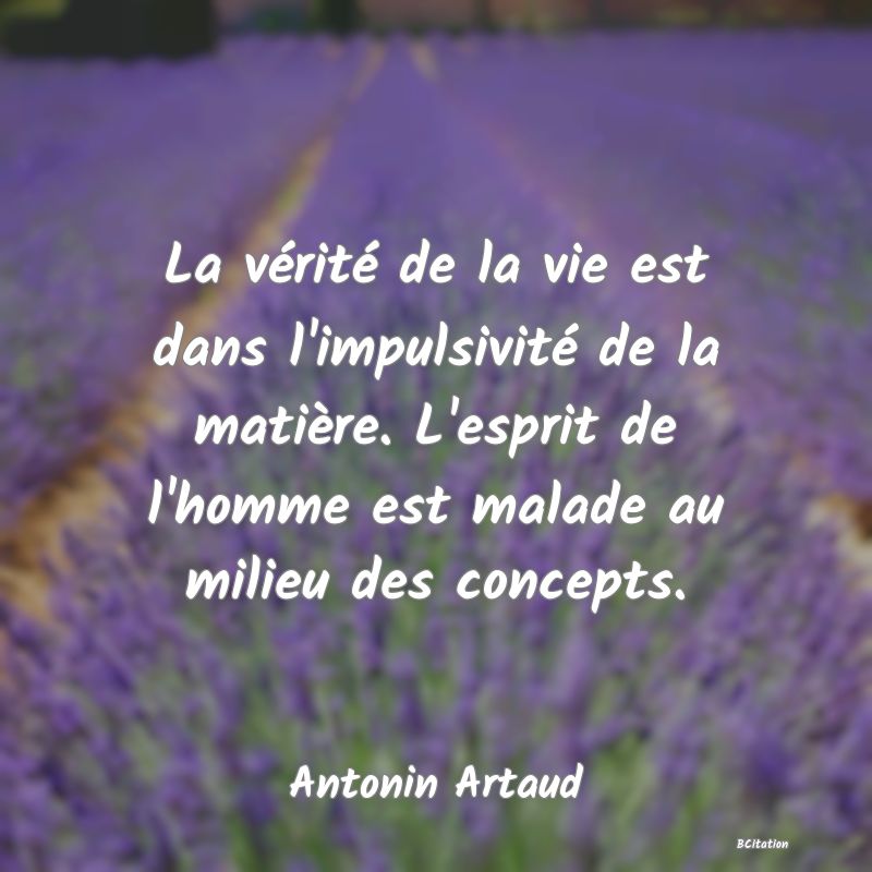 image de citation: La vérité de la vie est dans l'impulsivité de la matière. L'esprit de l'homme est malade au milieu des concepts.