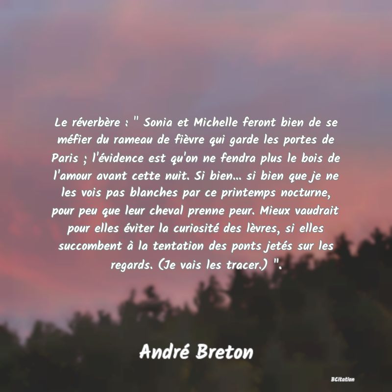 image de citation: Le réverbère :   Sonia et Michelle feront bien de se méfier du rameau de fièvre qui garde les portes de Paris ; l'évidence est qu'on ne fendra plus le bois de l'amour avant cette nuit. Si bien... si bien que je ne les vois pas blanches par ce printemps nocturne, pour peu que leur cheval prenne peur. Mieux vaudrait pour elles éviter la curiosité des lèvres, si elles succombent à la tentation des ponts jetés sur les regards. (Je vais les tracer.)  .