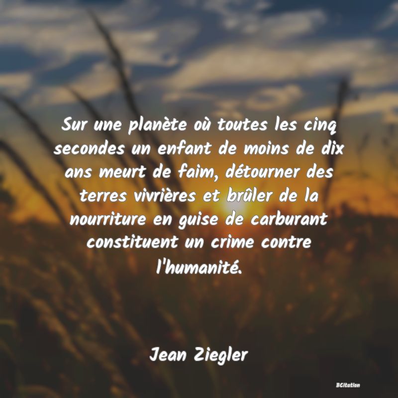 image de citation: Sur une planète où toutes les cinq secondes un enfant de moins de dix ans meurt de faim, détourner des terres vivrières et brûler de la nourriture en guise de carburant constituent un crime contre l'humanité.