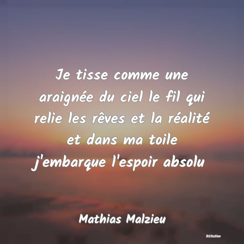 Belle Citation - Je tisse comme une araignée du ciel le fil qui relie les rêves et la réalité et dans ma toile j'embarque l'espoir absolu - Mathias Malzieu