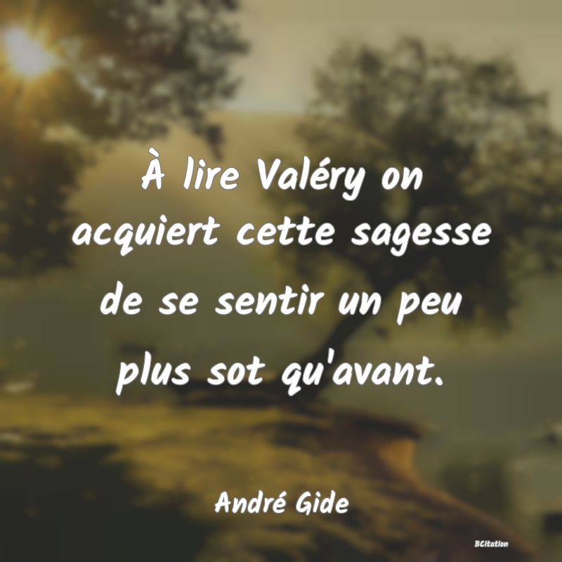 image de citation: À lire Valéry on acquiert cette sagesse de se sentir un peu plus sot qu'avant.