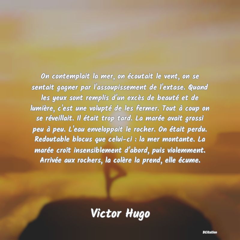 image de citation: On contemplait la mer, on écoutait le vent, on se sentait gagner par l'assoupissement de l'extase. Quand les yeux sont remplis d'un excès de beauté et de lumière, c'est une volupté de les fermer. Tout à coup on se réveillait. Il était trop tard. La marée avait grossi peu à peu. L'eau enveloppait le rocher. On était perdu. Redoutable blocus que celui-ci : la mer montante. La marée croît insensiblement d'abord, puis violemment. Arrivée aux rochers, la colère la prend, elle écume.