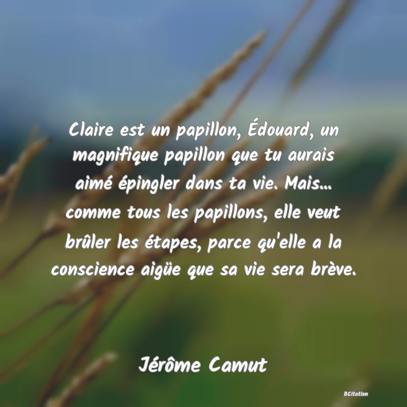 image de citation: Claire est un papillon, Édouard, un magnifique papillon que tu aurais aimé épingler dans ta vie. Mais... comme tous les papillons, elle veut brûler les étapes, parce qu'elle a la conscience aigüe que sa vie sera brève.