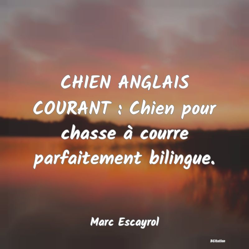 image de citation: CHIEN ANGLAIS COURANT : Chien pour chasse à courre parfaitement bilingue.